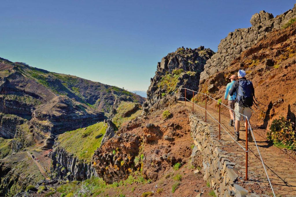 Caminhar do Pico do Areeiro à Ribeira das Cales por entre flora e fauna da Ilha da Madeira
