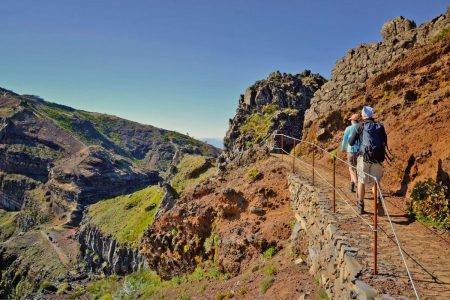 Caminhar do Pico do Areeiro à Ribeira das Cales por entre flora e fauna da Ilha da Madeira