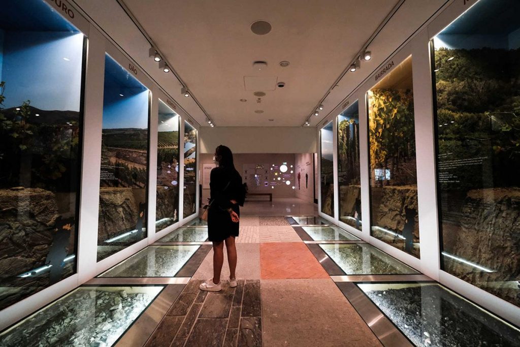 Vila Nova de Gaia: abriu o World of Wine com restaurantes, bares e museus