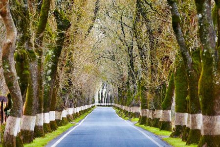 A ‘Route 66’ de Portugal é já um cartão de visita além-fronteiras