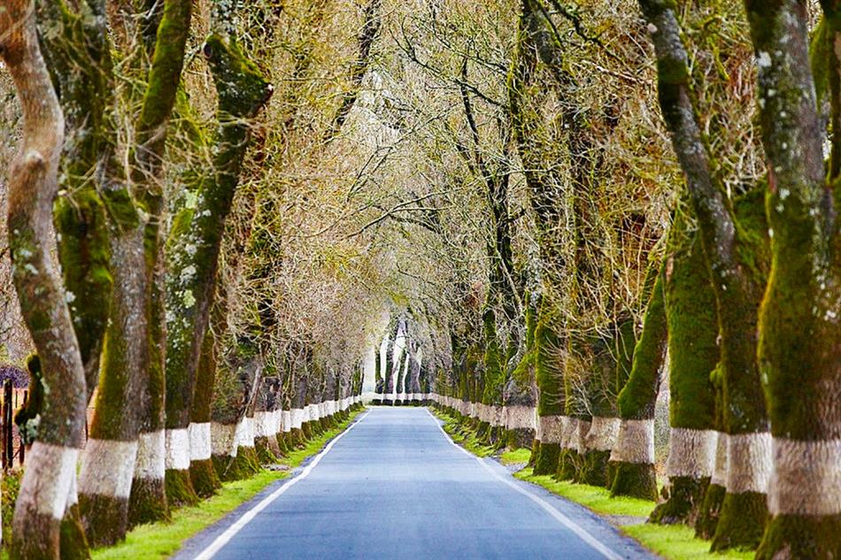 A ‘Route 66’ de Portugal é já um cartão de visita além-fronteiras